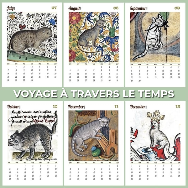 Calendrier des Chats Médiévaux 2025