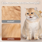 Peigne à Cheveux Professionnel