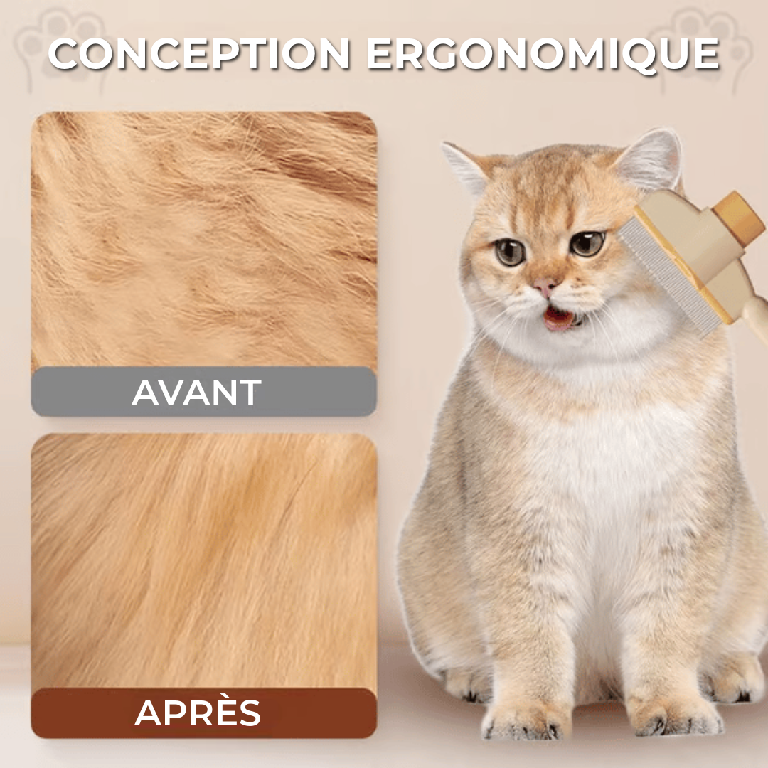 Peigne à Cheveux Professionnel