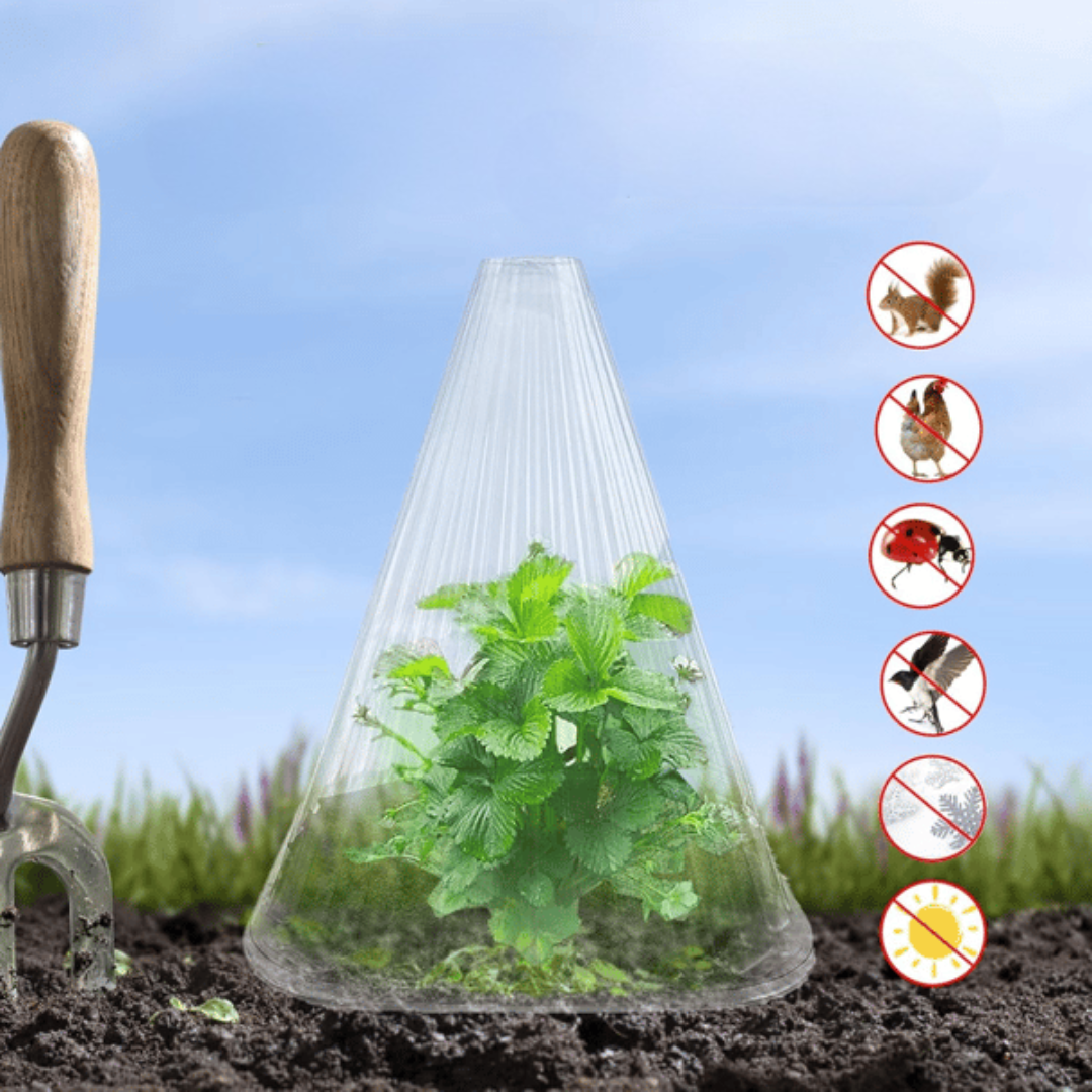 Housses de protection pour plantes
