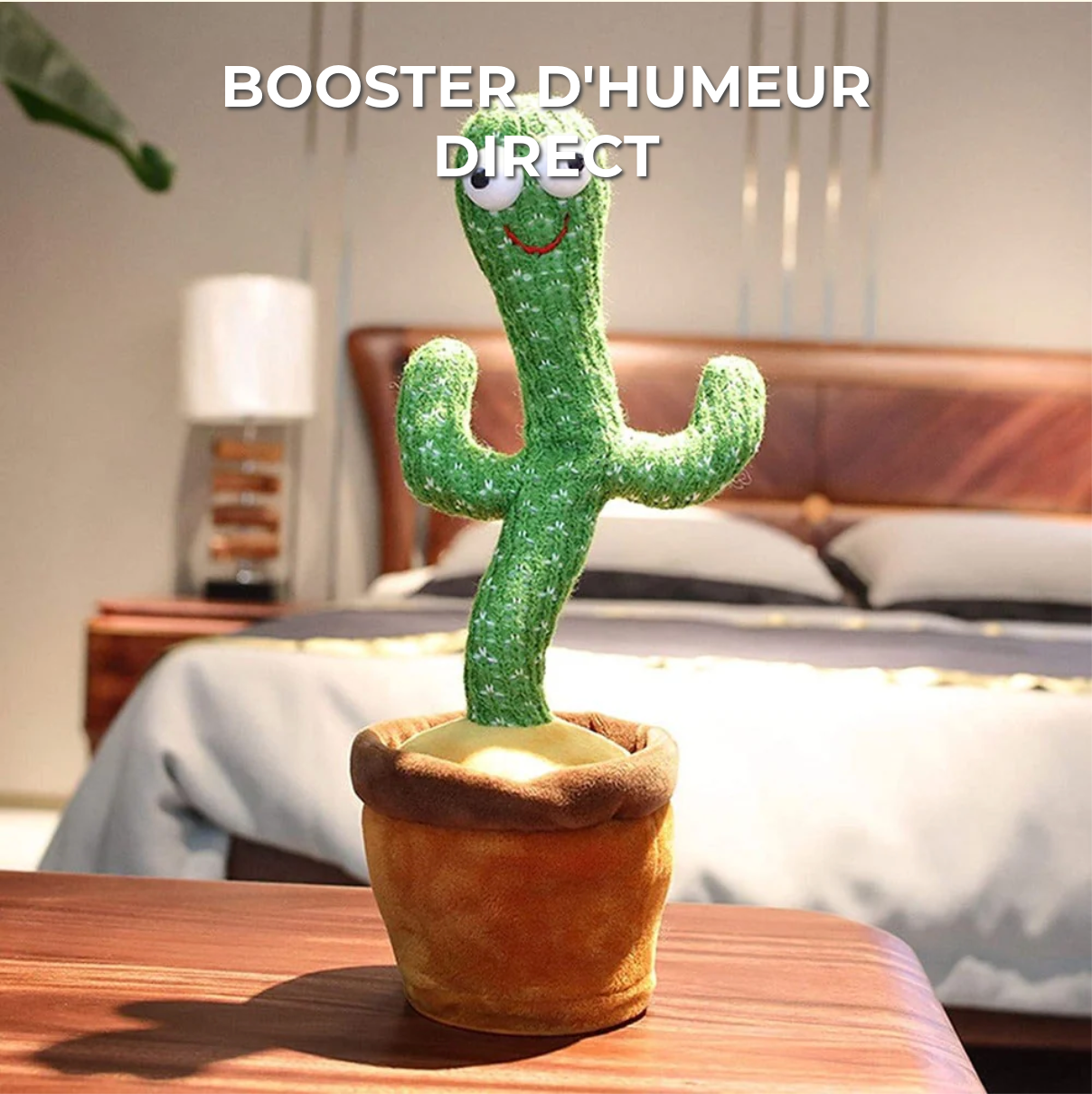 Cactus Dansant