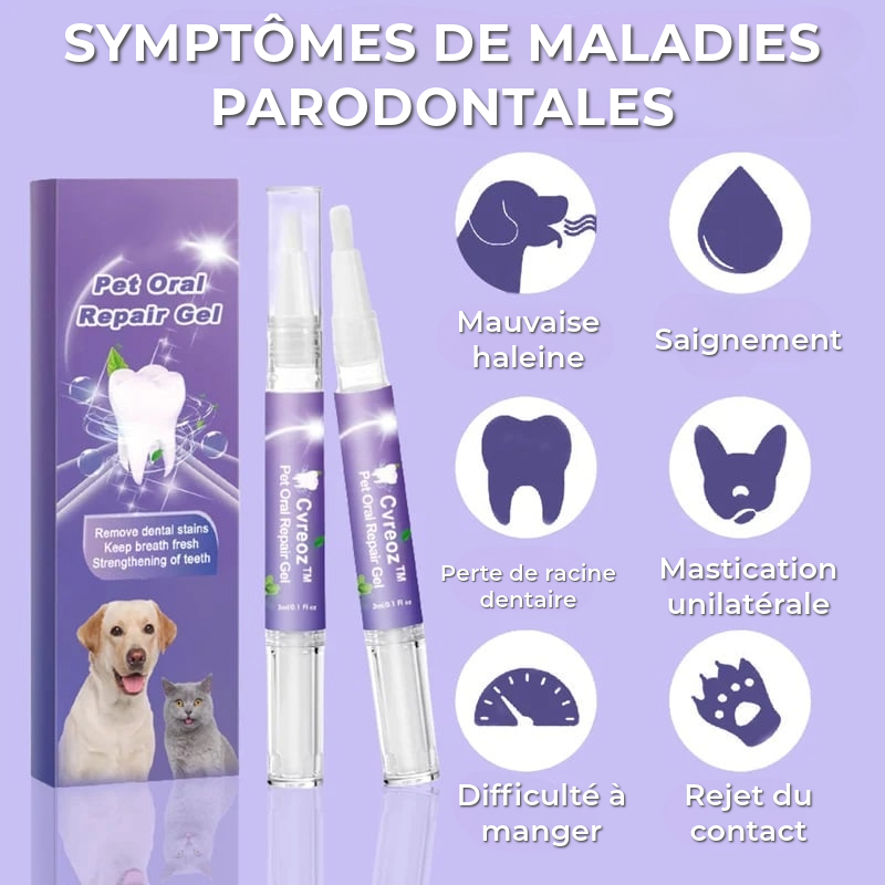 Gel Professionnel de Réparation Dentaire