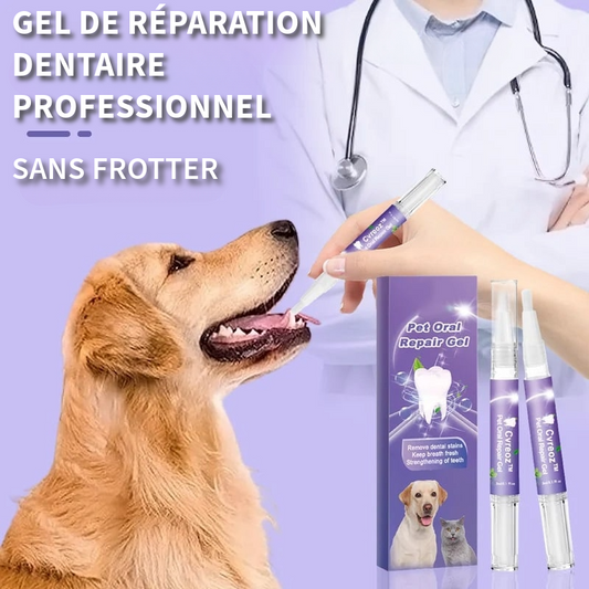 Gel Professionnel de Réparation Dentaire