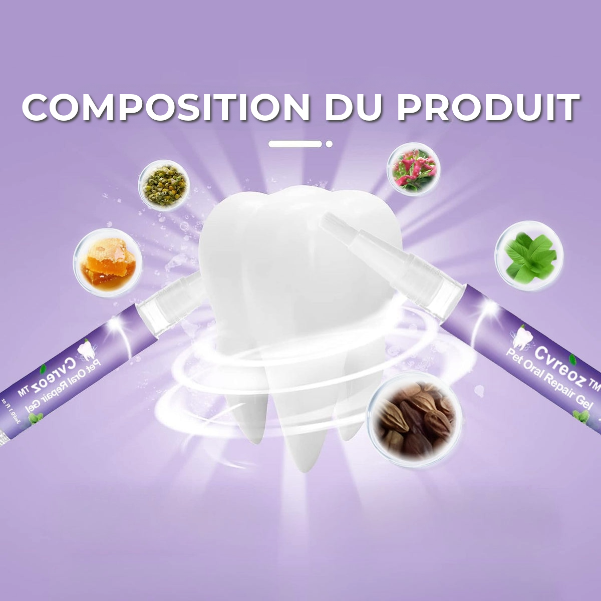 Gel Professionnel de Réparation Dentaire