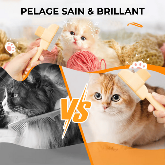 Peigne à Cheveux Professionnel