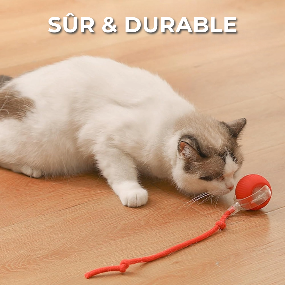 Jouet interactif