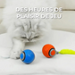 Jouet Interactif Pour Chat