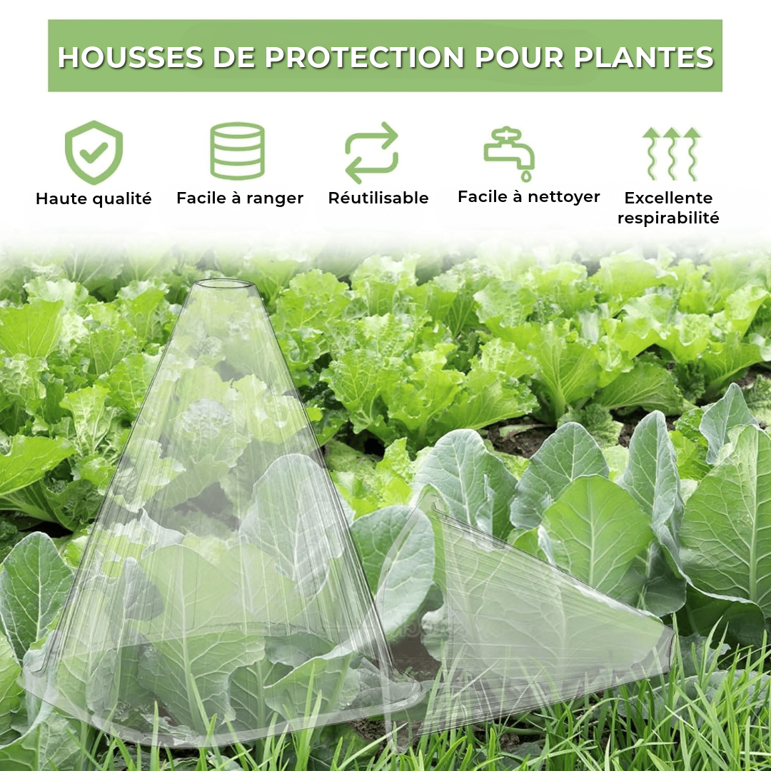 Housses de protection pour plantes