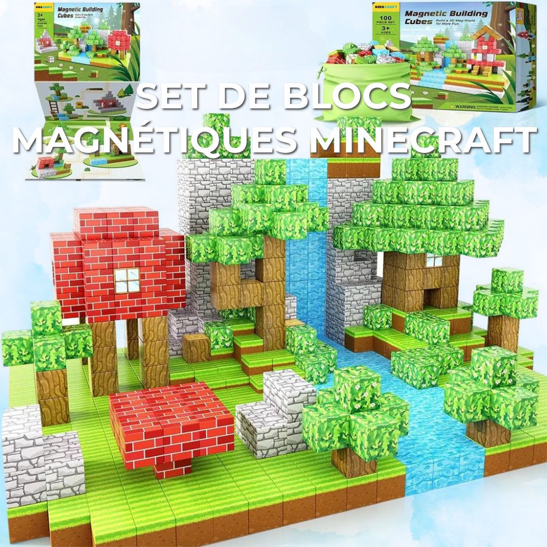 Set de blocs magnétiques Minecraft