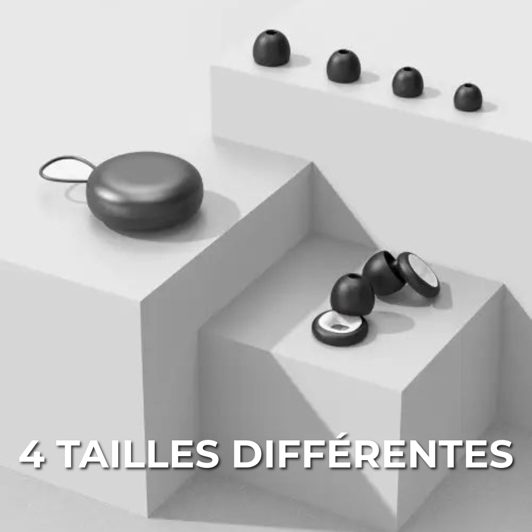 Écouteurs Moto Professionnels