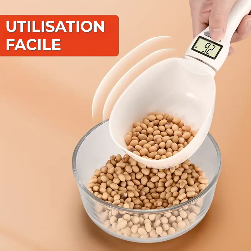 Cuillère Balance Professionnelle