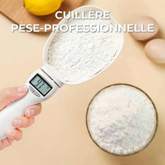 Cuillère Balance Professionnelle