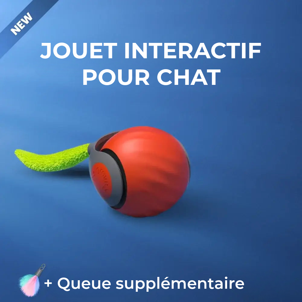 Jouet Interactif Pour Chat