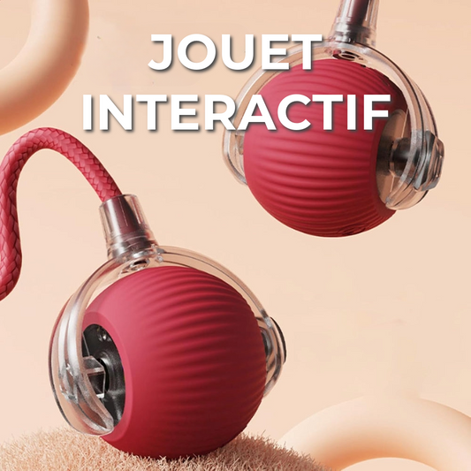 Jouet interactif
