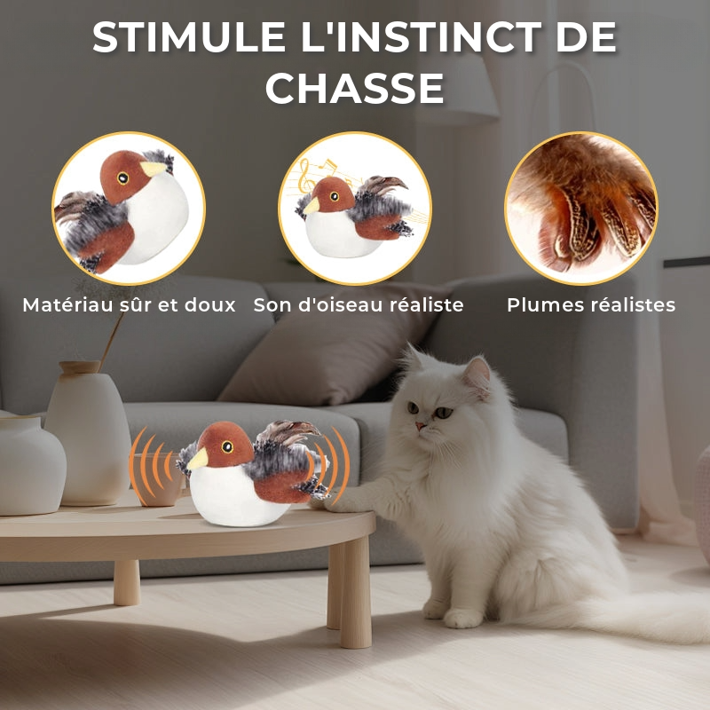 Jouet interactif pour chat