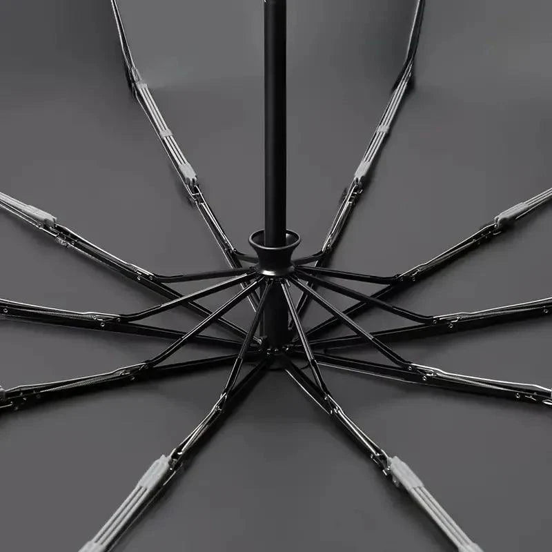 Parapluie de Luxe