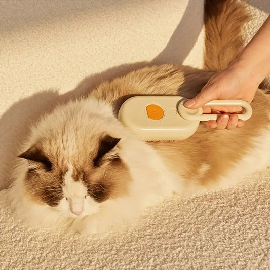 Brosse Professionnelle pour Animaux de Compagnie