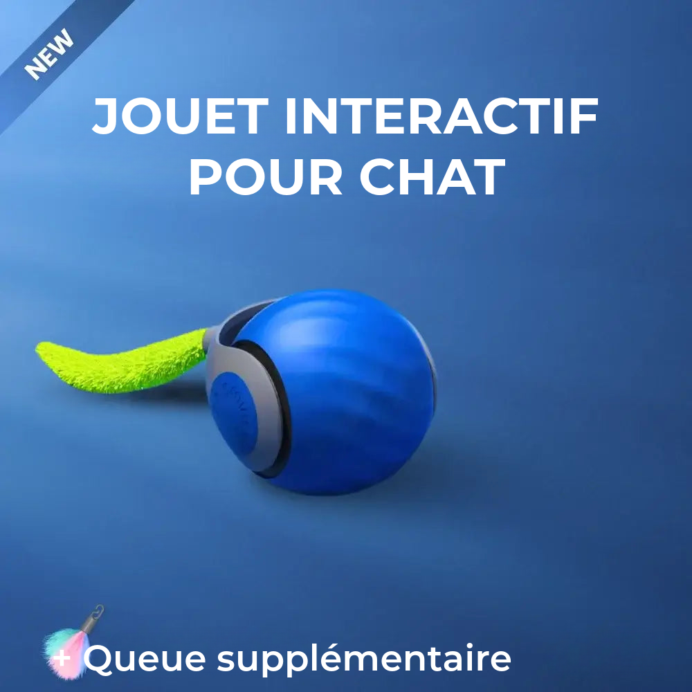 Jouet Interactif Pour Chat